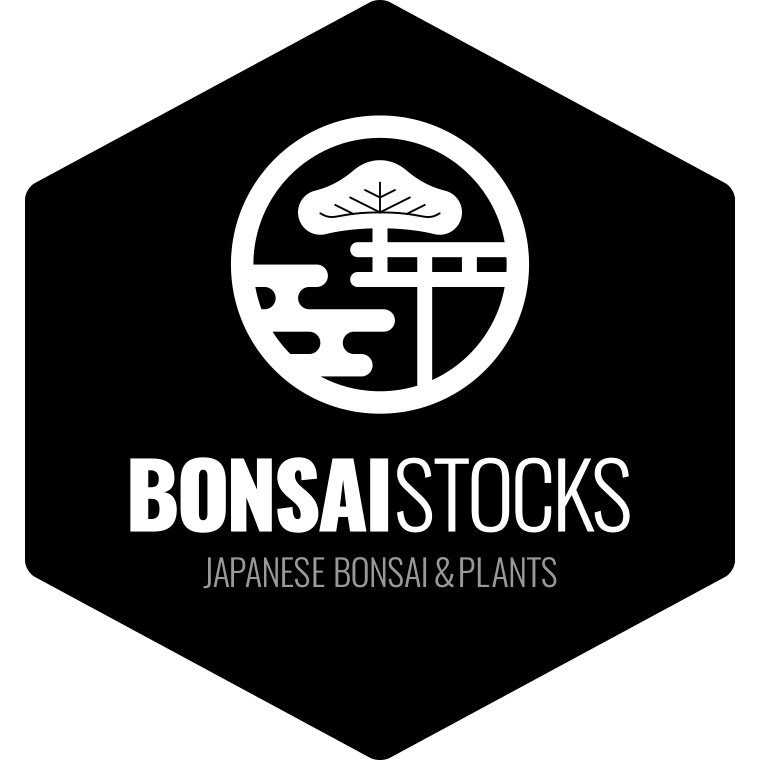Bonsai Stocks